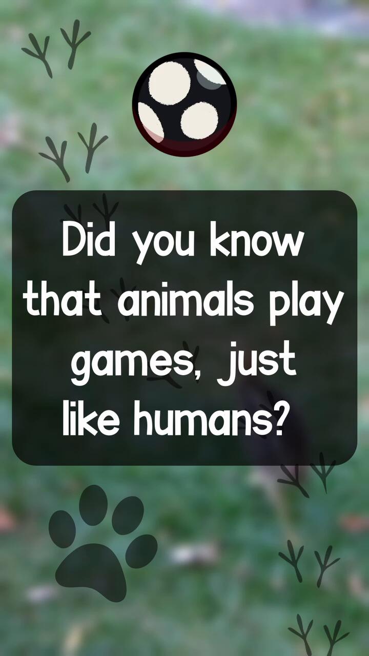 Kichik