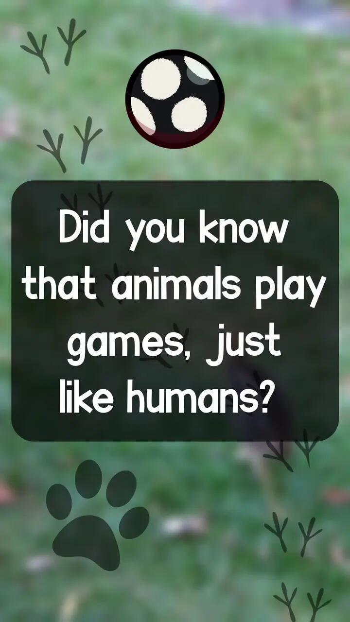 Kichik